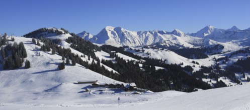 Restaurant Horneggli and ski slopes