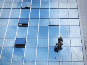 Window cleaner working on a glass facade suspended. Heavy work concept