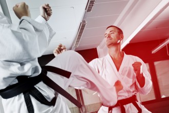 An image of two martial arts masters fighting