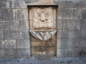 Stone relief, frog, fountain in the old town centre of Korcula, island of Korcula, Dalmatia,