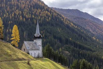 Church of St. Peter with golden larch in autumn, Monstein, Davos, Grisons, Switzerland, Europe