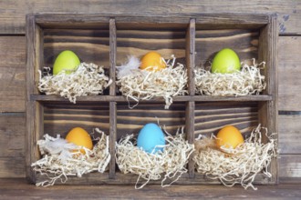 Easter colorful eggs in the nests in cell boxes