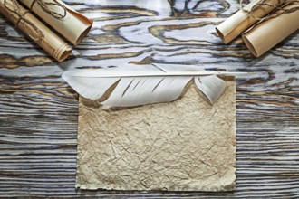 Vintage paper rolls crumpled document feather top view