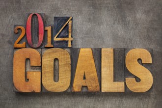 2014 goals - New Year resolution concept - text in vintage letterpress wood type blocks against