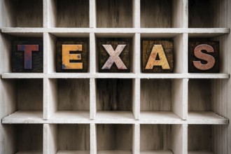 The word TEXAS written in vintage ink stained wooden letterpress type in a partitioned printer's