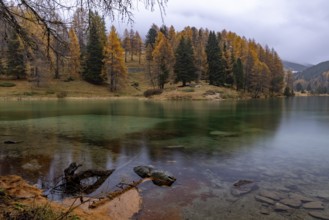 Autumn evening atmosphere, Lake Palpuognasee, Bergün-Filisur, Graubünden, Switzerland, Europe