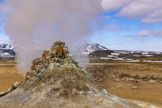Hverarönd, Myvatn, Iceland, Europe