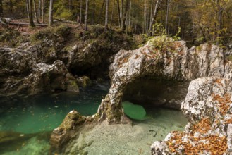 A stream flowing through the beautiful Mostnica Gorge in the Triglav National Park, located in the
