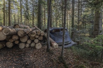 Wrecked Hudson Terraplane K Tourer Sedan built in 1935 that has been sitting in a forest for