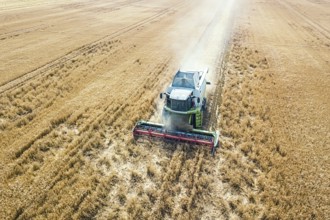 Combine harvester working on a wheat field. Combine harvester Aerial view