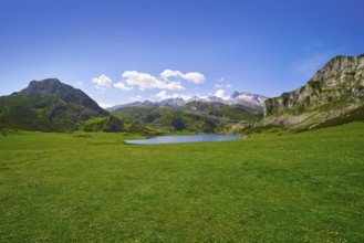 Ercina lake at Picos de Europa in Asturias of Spain
