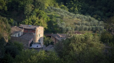 Tuscany landscape with farmhouse and olive trees in Siena, Italy, Europe