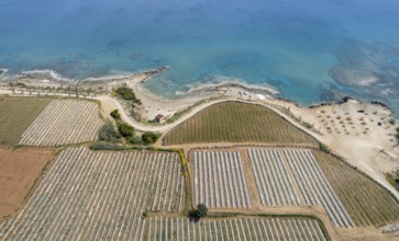 Aerial drone view of greenhouses in a row, covered with a transparent film of growing vegetables