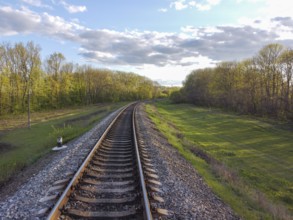 Railway, tracks through tree planting, green grass and beautiful nature, travel through Ukrainian