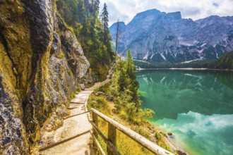 The concept of environmental and hiking. Walking trail around the lake is fenced with wooden