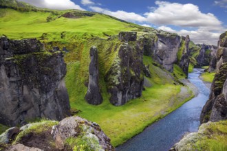 Magic beauty canyon in Iceland - Fyadrarglyufur. Steep cliffs, overgrown with green moss,