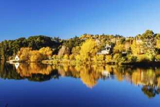 DAYLESFORD, AUSTRALIA, MAY 12 2024: Landscape around Lake Daylesford in a cool late autumn