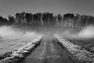 Foggy landscape, near Wesertal, Weser Uplands, Weserbergland, Hesse, Germany, Europe