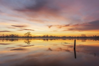 Reflection of orange sky in water of flooded meadow at sunrise. Alsace, France, Europe