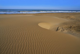 Delta del Ebro Ebre beach Punta del Fangar in Tarragona Costa Dorada Deltebre