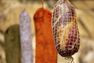 Dried green, brown and orange beef and pork jerky is shown at a food and drink exhibition