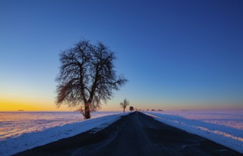 Empty road through snow-covered field after a blizzard at sunset. Clear sky, golden light. Idyllic