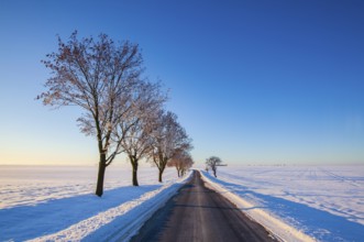 Empty road through snow-covered field after a blizzard at sunrise. Clear sky, golden light. Idyllic