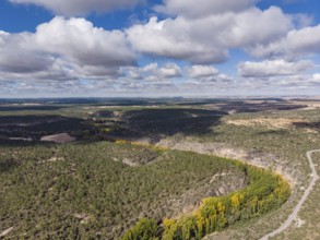 Meander, Las Hoces del Río Duratón Natural Park, Segovia province, Spain, Europe