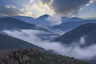 Landscape shot with cloudy sky and fog in the valley. View from a rock in the middle of forest and
