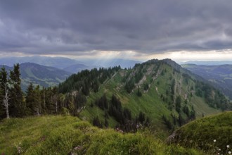 View from the Seelekopf to the Hohenfluhalpkopf, Nagelfluhkette, Allgäu