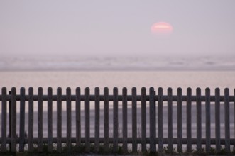 Landscape by the sea with wooden fence in the foreground and calm sunset in the background, Borkum,