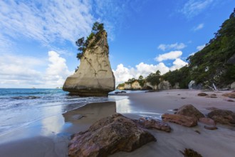 The North Island of New Zealand. Ocean low tide in Cathedral Cove at sunset. Huge boulders and