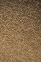 Texture of leather