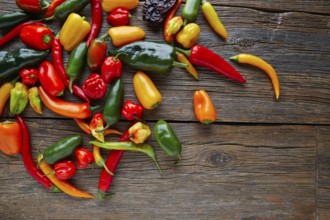 Mexican hot chili peppers colorful mix habanero poblano serrano jalapeno on wood