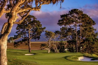 Pebble Beach golf course, Monterey, California, usa