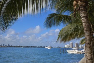 Miami Beach from MacArthur Causeway in Florida USA