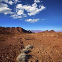Death Valley National Park California Corkscrew Peak desert
