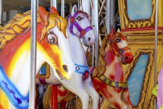 Horses in merry go round fairground attraction