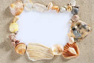 Border frame with summer beach shells and blank copy space paper