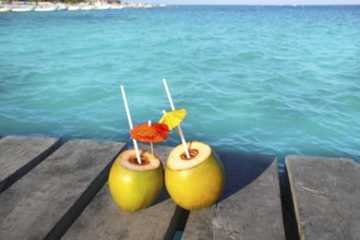 Coconut coktails in caribbean on wood pier turquoise sea