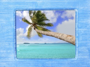 Blue wood border frame with palm tree tropical beach