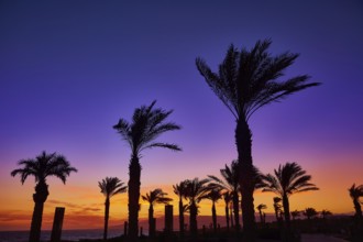 Almeria Cabo de Gata sunset in Retamar beach at Spain