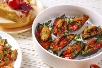 Tapas mix and pinchos food from Spain recipes also pintxos on a white wood board