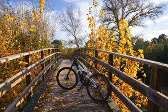 Sunset bike on autumn fall wood bridge at Parque de Turia of Valencia park in spain