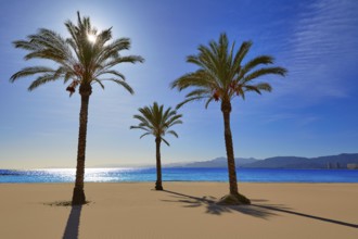 Cullera Playa los Olivos beach in Mediterranean Valencia at Spain