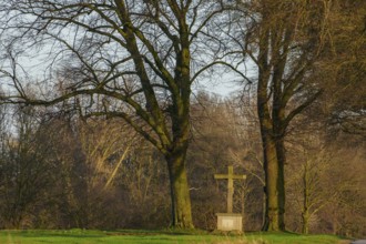 A stone cross stands between two trees in the forest light, Weseke, Borken, Münsterland, Germany,