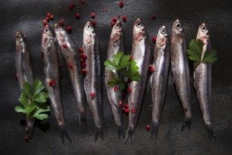 Presenting series anchovy crude above background black stone