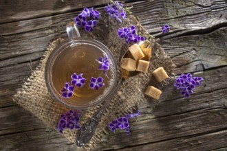 Tea served in a glass cup with garnish flower Duranta repens