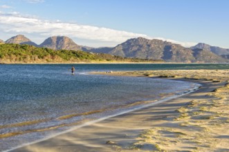 An angler in the shallow water on the Nine Mile Beach near Swansea with the Freycinet National Park