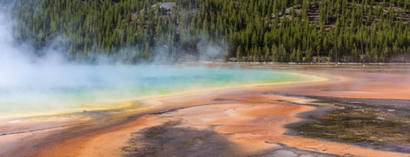 Famous Grand Prismatic Spring basin in Yellowstone National Park, USA, North America